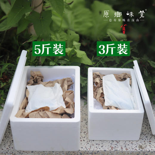 生态露天黄瓜（农场直发-顺丰包邮）| 3斤/5斤装 商品图7