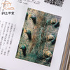 【绝版好书】《古物瑰宝考说文集》大16开191页，2020年台故宫博物院初版 商品缩略图6