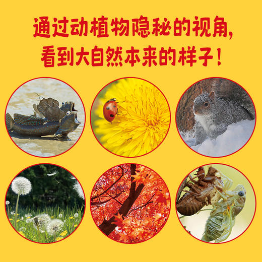 《科学的种子》全20册 商品图2