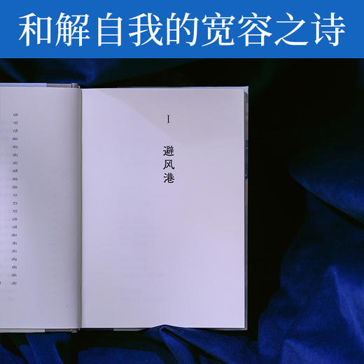 渡过自己的海底(我想和你虚度时光李元胜诗集，128首新作，更深邃，更开阔，搭建心灵的秘密营地)(李元胜) 商品图2