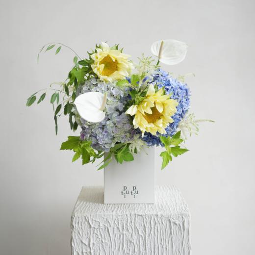 夏夜浅语 Poetry at Night 商品图0