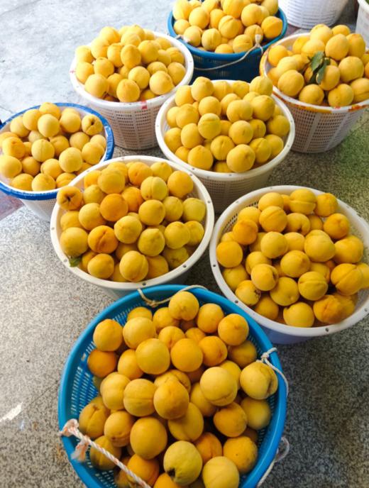 黄桃精选二级果10斤装 商品图3