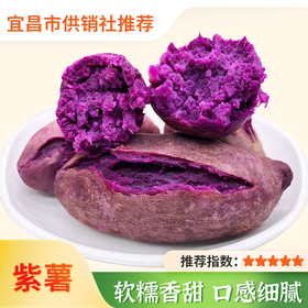 【秭归】湖北紫薯  粉糯细腻  新鲜现挖 农家自种