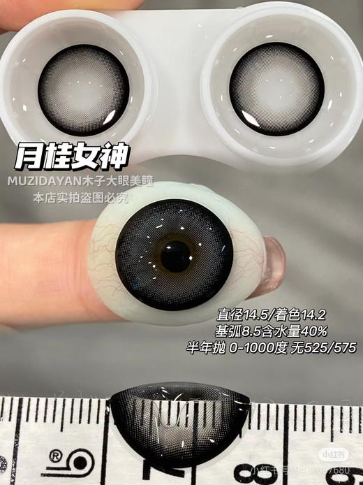 【本店实拍】Revelens-新品半年抛合集-航海系列-糖渍蓝莓/月桂女神/航海物语-14.5mm 【半年抛 0-1000度 无525/575】 商品图2