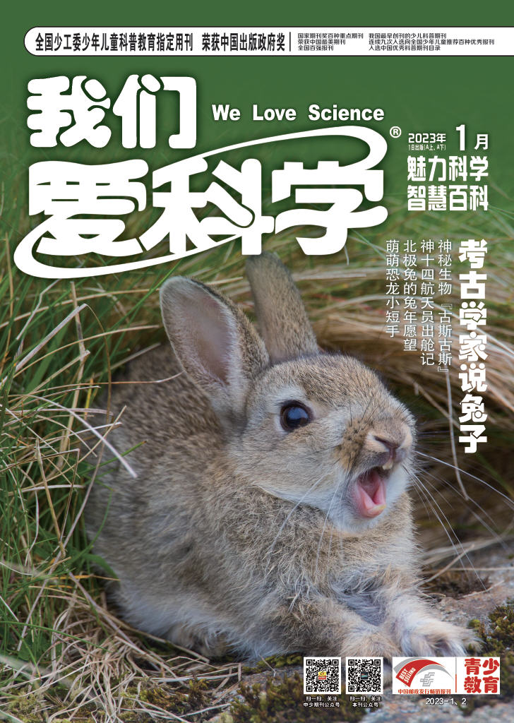 《我们爱科学少年版+科学大侦探》2023年11个月随机发 杂志 1-6年级适读 激发科学兴趣