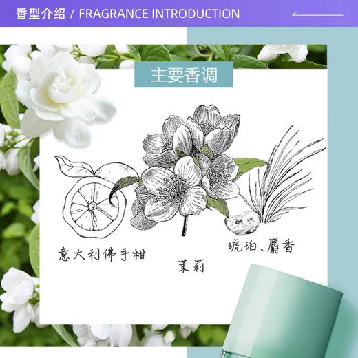 【海关保税直发】伊丽莎白雅顿绿茶香水-持久淡香香氛清新-30ml-50ml-会员5折 商品图3