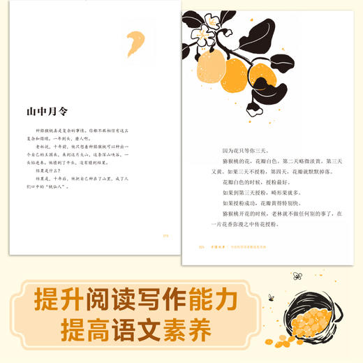 “中国故事”系列丛书 《专注的劳动者都是发光体》 周华诚 / 著 【上贝】 适合10-15岁儿童阅读 商品图3