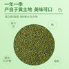 周大黑绿豆500克*3袋装 绵软沙糯 粒大皮薄 商品缩略图1