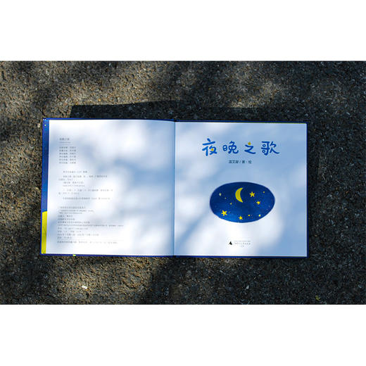 音乐小森林:夜晚之歌(魔法象·图画书王国)(温艾凝/著·绘) 商品图3