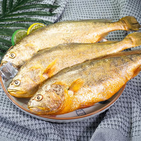 活冻大黄鱼3斤  3*500g (只发南京）线上