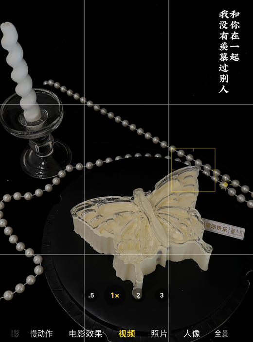 温柔蝴蝶慕斯【请提前一天预定，当天做不出】 商品图1