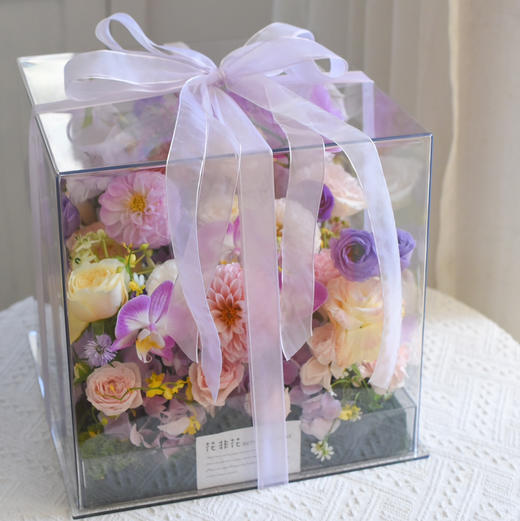 《玻璃晴朗》蝴蝶兰透视花盒 商品图2