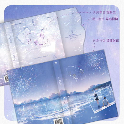 只要你 九兜星著 甜宠文青春言情小说 商品图3