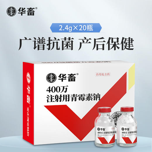 华畜兽药 400万注射用青霉素钠2.4g*20支 抗菌消炎 广谱药 商品图0