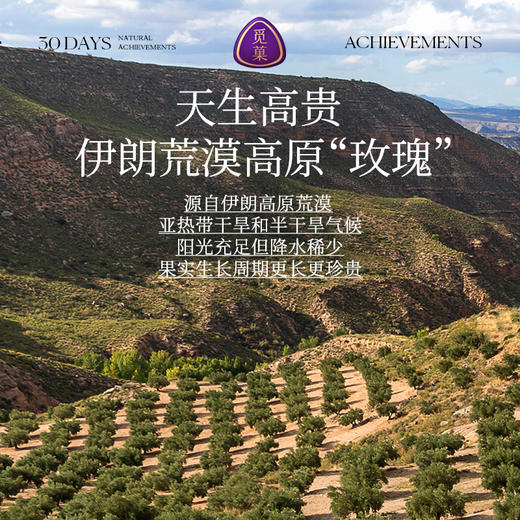 【云优选】觅菓A+伊朗玫瑰无花果干338g即食泡水滋补煲汤0硫熏0漂白零食（拆封后不支持7天无理由退货，介意慎拍！） 商品图4