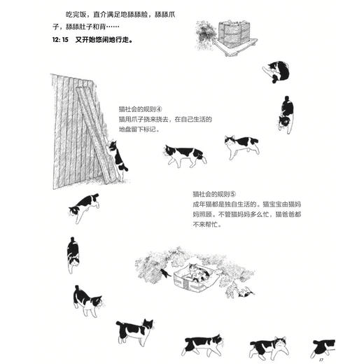 《大科学之友·如果我是达尔文》（共7册） 商品图13
