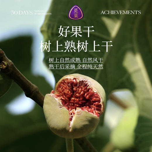 【云优选】觅菓A+伊朗玫瑰无花果干338g即食泡水滋补煲汤0硫熏0漂白零食（拆封后不支持7天无理由退货，介意慎拍！） 商品图1