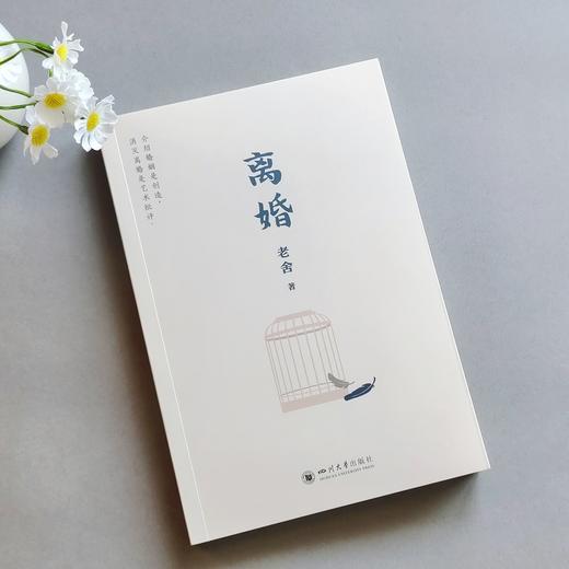 离婚：人民艺术家老舍经典之作（冰心、巴金、诺贝尔文学奖得主勒克莱齐奥、彼得·汉德克盛赞）(老舍 著 人天兀鲁思 出品) 商品图2