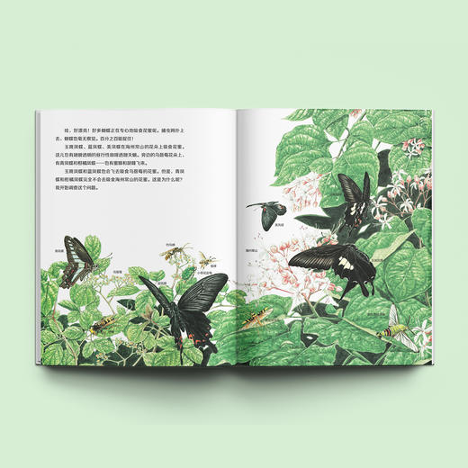 《大科学之友·如果我是达尔文》（共7册） 商品图3