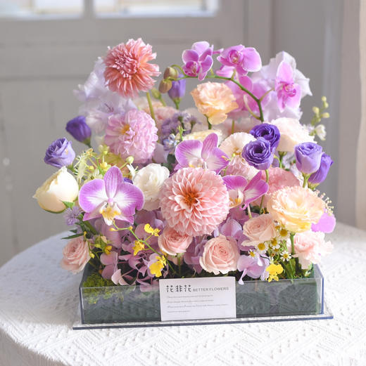 《玻璃晴朗》蝴蝶兰透视花盒 商品图1