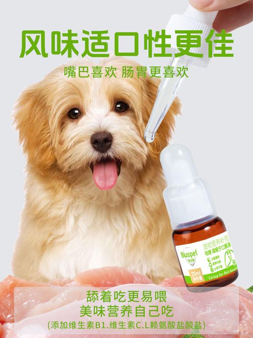 【包装新升级】巴士宠桔梗咽喉宁糖浆25ml 清热解毒化痰 止咳平喘 微甜 植物配方  线下专供！【5送2，10送5】 商品图3