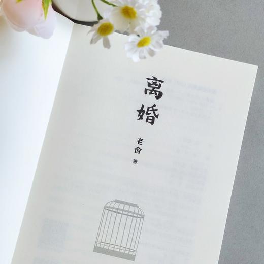 离婚：人民艺术家老舍经典之作（冰心、巴金、诺贝尔文学奖得主勒克莱齐奥、彼得·汉德克盛赞）(老舍 著 人天兀鲁思 出品) 商品图3