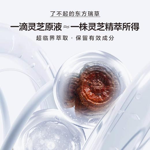 【线上首发】BNLS灵芝细胞注能液 商品图4