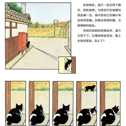 《大科学之友·如果我是达尔文》（共7册） 商品图12