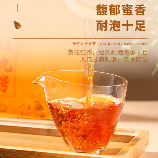 八百秀才2025年春茶 春语半斤装 商品图2