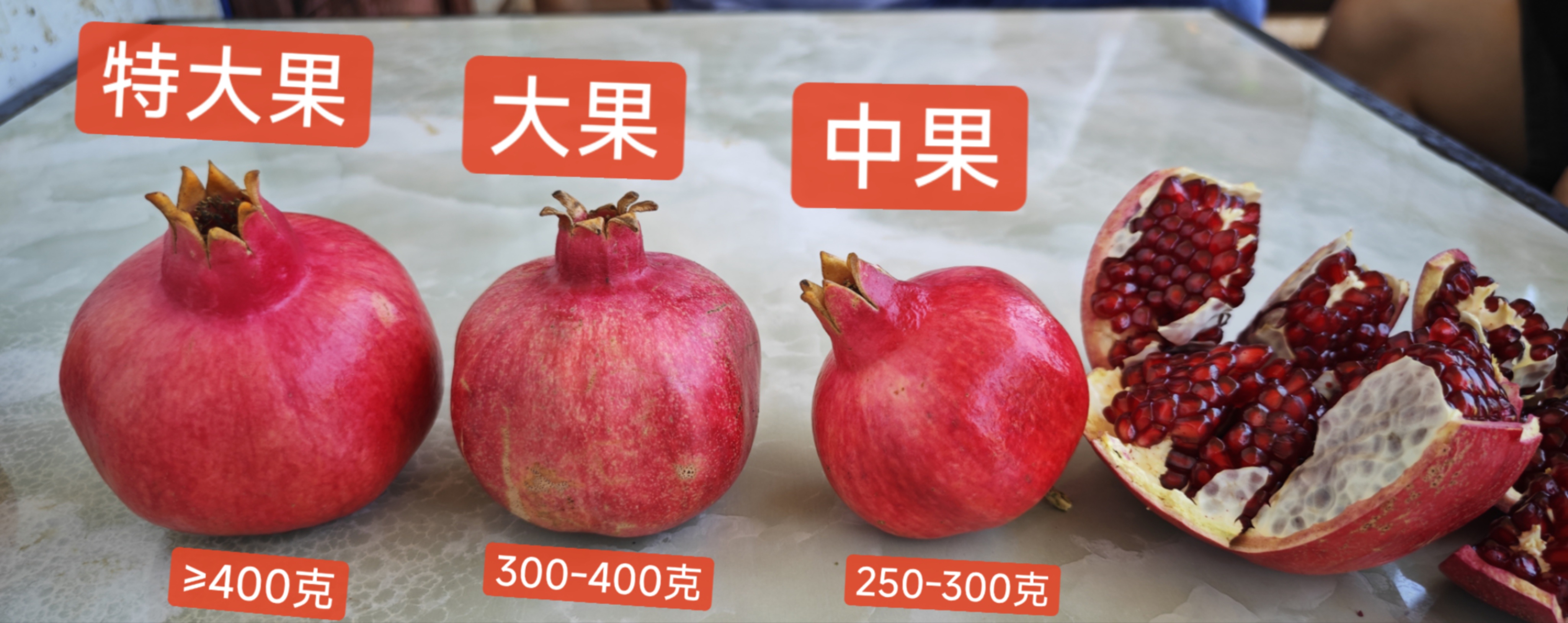石榴树 品种