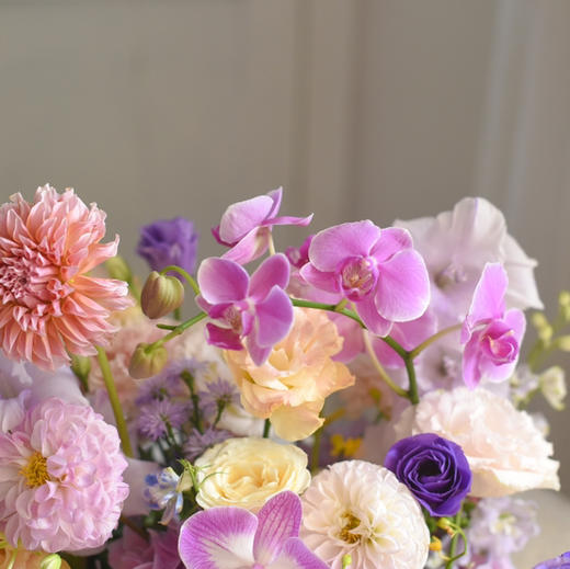 《玻璃晴朗》蝴蝶兰透视花盒 商品图8