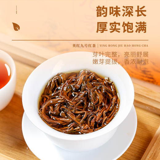 八百秀才2025年春茶 春语半斤装 商品图3