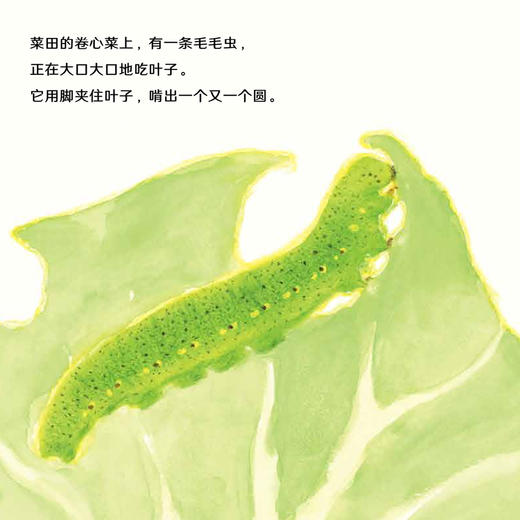 《小科学之友·好奇心挖掘机》（共9册） 商品图4