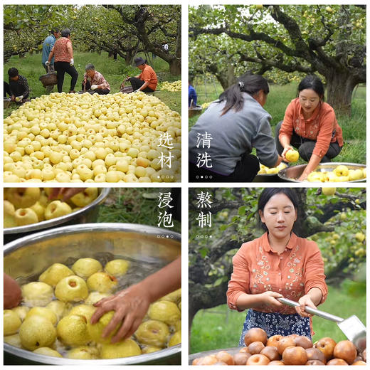 【安徽砀山】鲜梨熬制纯梨膏无添加一瓶200g 商品图1