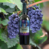 云南印象30年老树西拉干红葡萄酒 750ml 商品缩略图2