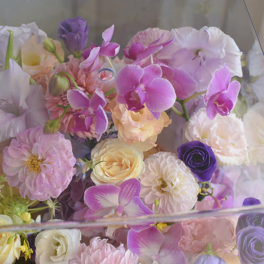 《玻璃晴朗》蝴蝶兰透视花盒 商品图4