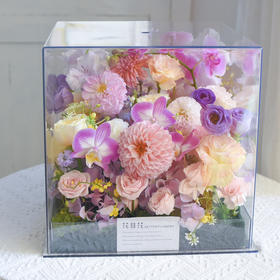 《玻璃晴朗》蝴蝶兰透视花盒