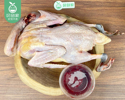 洛江山头水库散养270天黑羽土番鸭母（杀完带内脏1.9kg±200g/只） 商品图1