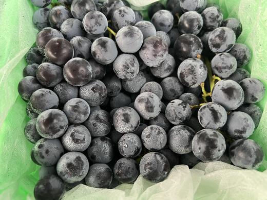周四取货：【蓝莓夏黑葡萄】一箱毛重3.5斤左右，纯甜，汁水爆多！ 商品图2
