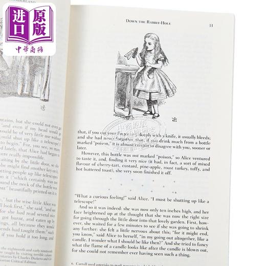【中商原版】爱丽斯漫游仙境 第4版 诺顿文学解读系列 Alice in Wonderland 英文原版 LEWIS CARROLL 卡洛尔刘易斯   商品图3