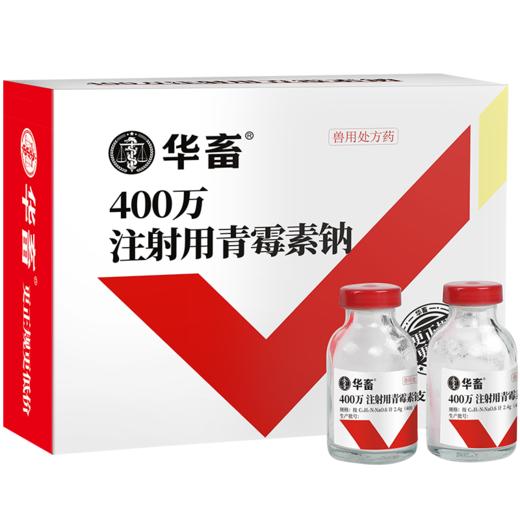 华畜兽药 400万注射用青霉素钠2.4g*20支 抗菌消炎 广谱药 商品图4