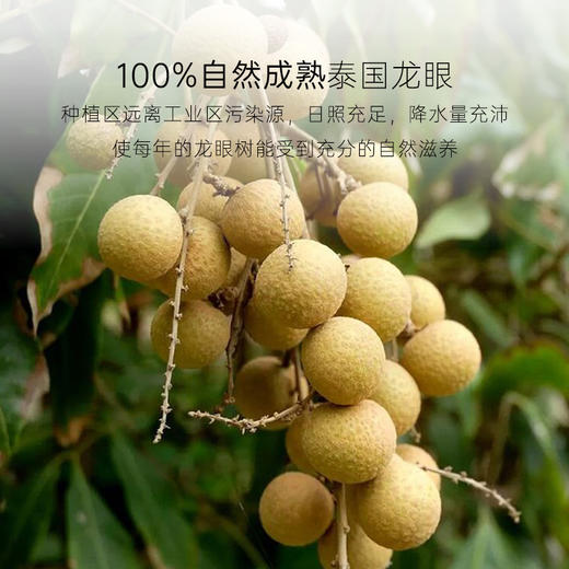 几分之几泰国无核龙眼干100g 商品图1