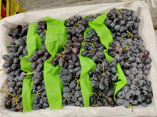 黑加仑无籽提子2斤 商品图3