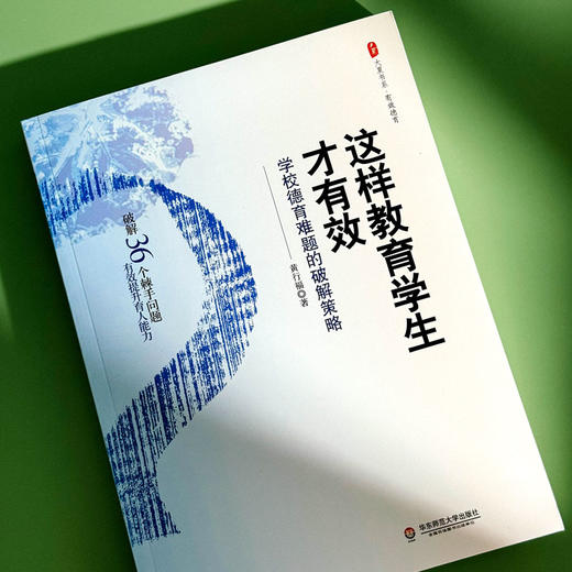 这样教育学生才有效：学校德育难题的破解策略 大夏书系 班级建设 德育管理 商品图3