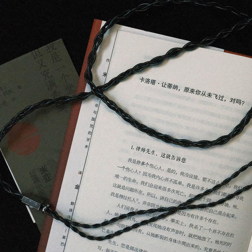 入夜的声音  （莫桑比克）米亚·科托 / 著  【北贝】 商品图2