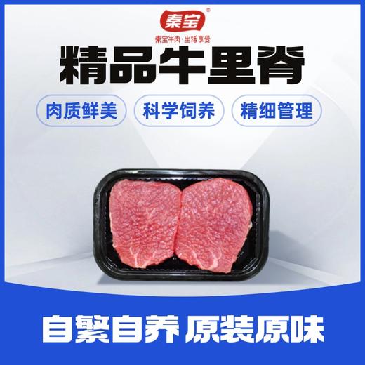 秦宝精品牛里脊500g 商品图0