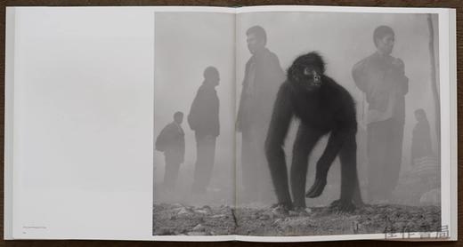 Nick Brandt: The Day May Break、Chapter Two / 尼克·勃兰特：黎明之日、第二章 商品图1