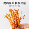 方家铺子  蛹虫草180g/瓶装 商品缩略图1