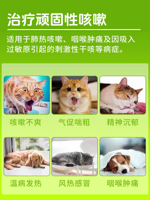 【包装新升级】巴士宠桔梗咽喉宁糖浆25ml 清热解毒化痰 止咳平喘 微甜 植物配方  线下专供！【5送2，10送5】 商品图2