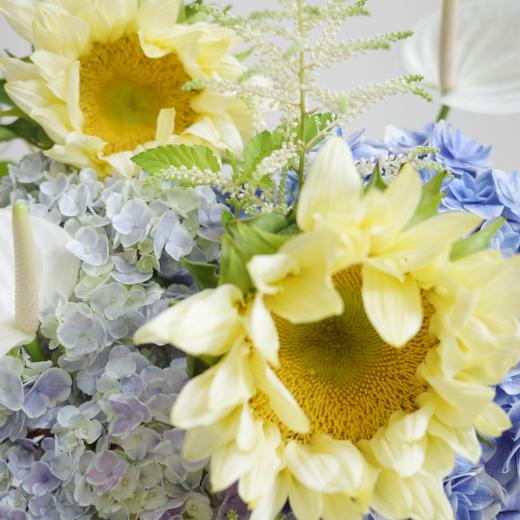 夏夜浅语 Poetry at Night 商品图2